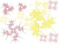 У Кузи кузина