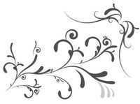 У гусыни усов ищи не ищи