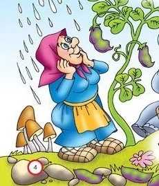 Бабкин боб расцвел в дождь