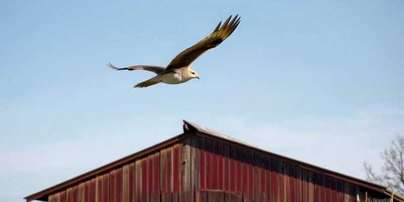 Летела гагара высоко над амбаром