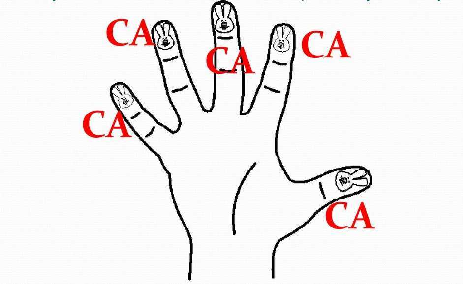 Отработка произношения слога СА