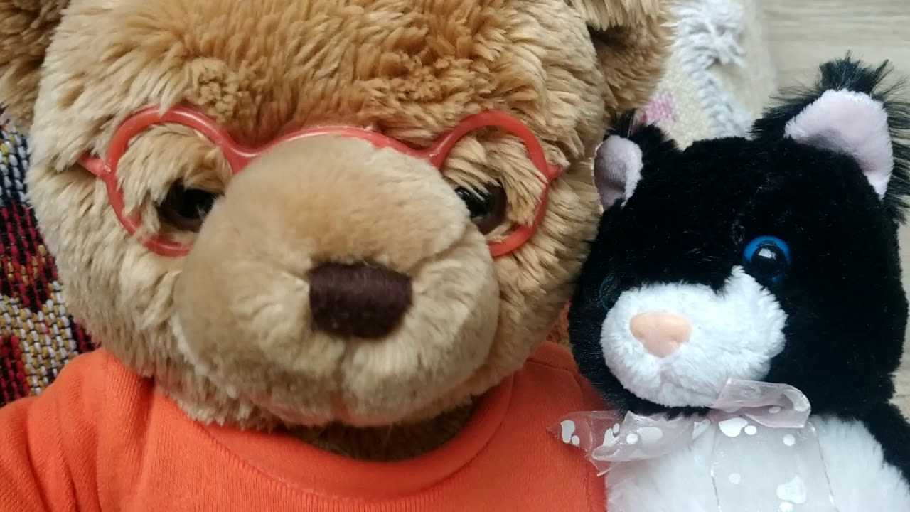 Чистоговорки с буквой С.